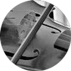 Profile photo of Jerry Dubins