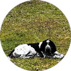 Profile photo of Stephanie Cottle