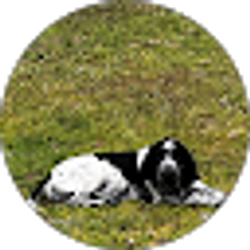 Profile photo of Stephanie Cottle