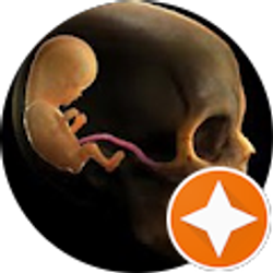 Profile photo of D Nutt