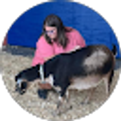 Profile photo of meredith