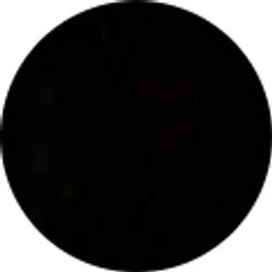 Profile photo of Amir Reed