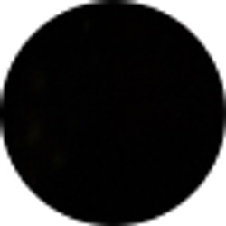 Profile photo of Amir Reed