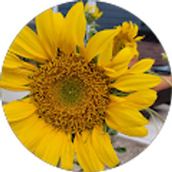 Profile photo of EE Elliott