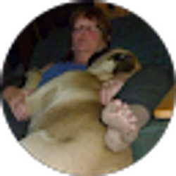 Profile photo of Trisa Barton