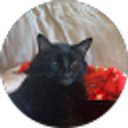 Profile photo of KokieFrog Salsa