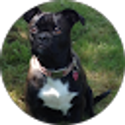 Profile photo of clsibarguen