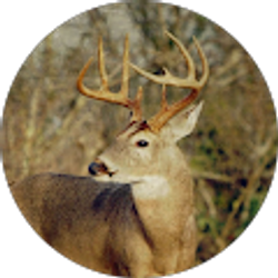 Profile photo of dylan souder