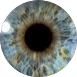 Profile photo of Gary Johnson