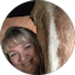 Profile photo of 4rtrotters