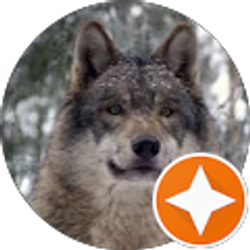 Profile photo of Caleb (Knightwolf)