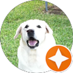 Profile photo of C R