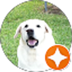 Profile photo of C R