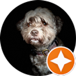 Profile photo of Nate Kramer