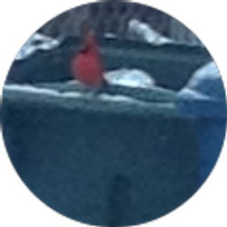 Profile photo of Angela Ayala