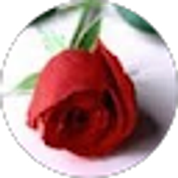 Profile photo of Tawnya Missera