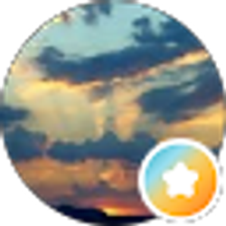 Profile photo of F V