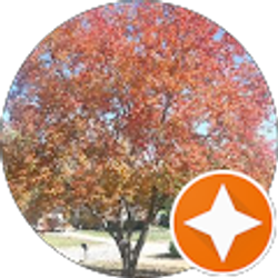 Profile photo of Ron Burget