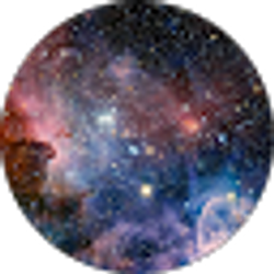 Profile photo of Kate Eisinger