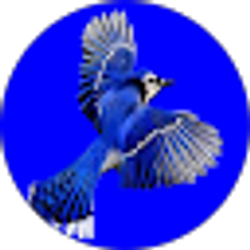 Profile photo of Blue_J On2wils2112