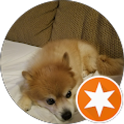 Profile photo of Kevin Taylor