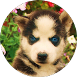 Profile photo of Omar Mora