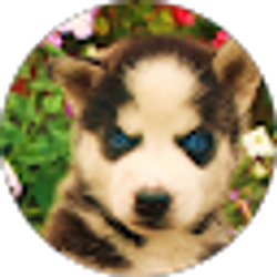 Profile photo of Omar Mora