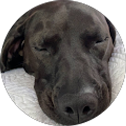 Profile photo of Twiz King