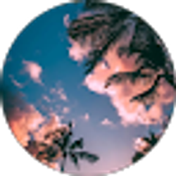 Profile photo of Marisol M.Castillo