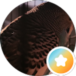 Profile photo of Adam Reynolds