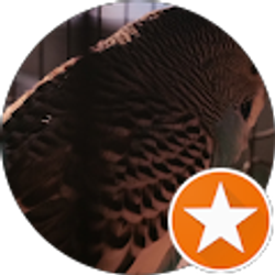 Profile photo of Adam Reynolds