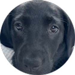 Profile photo of Eric Schoville