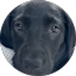 Profile photo of Eric Schoville