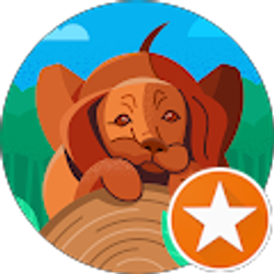 Profile photo of Bill Brown