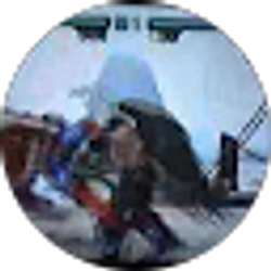 Profile photo of M M