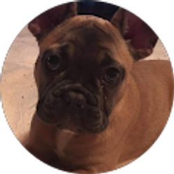 Profile photo of Scott Orr