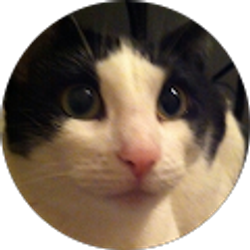 Profile photo of Andy Vavoules