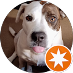 Profile photo of Walter Plessinger