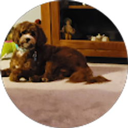 Profile photo of Kathy