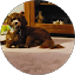 Profile photo of Kathy