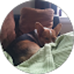 Profile photo of Lisa Thain