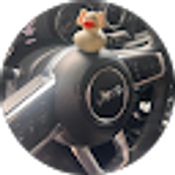 Profile photo of Bardo Meza