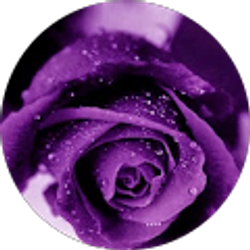 Profile photo of Dickerson Adrienne