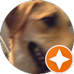 Profile photo of Jake Schulze