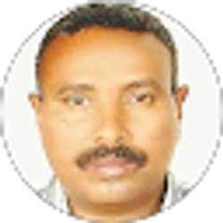 Profile photo of ALEM SEREKE