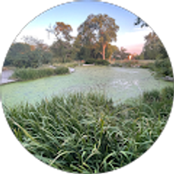 Profile photo of Jose