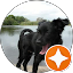 Profile photo of Stephanie Widrig