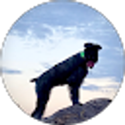 Profile photo of Jeannie Fusting