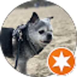 Profile photo of Armin Sedaghat