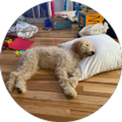 Profile photo of Aaron Gilbreth